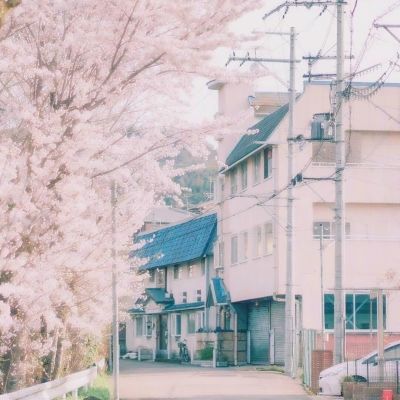 夏侯谦楠
